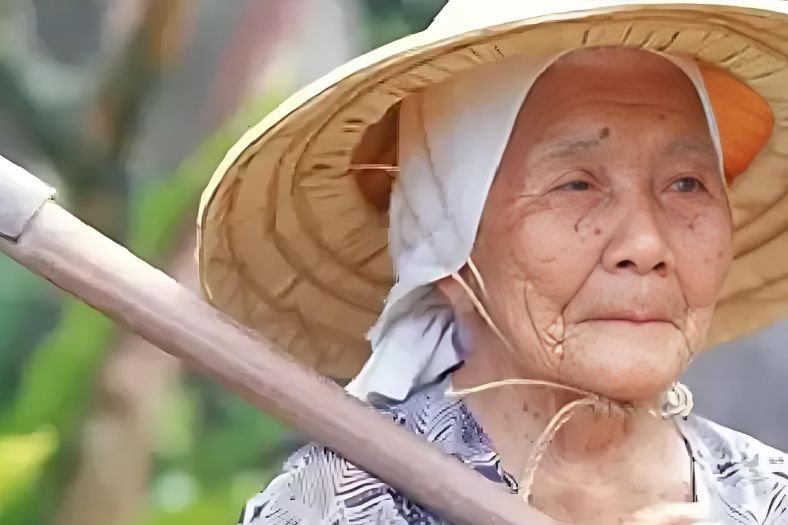 ikigai-for-professional-wellbeing ikigai-for-professional-wellbeing